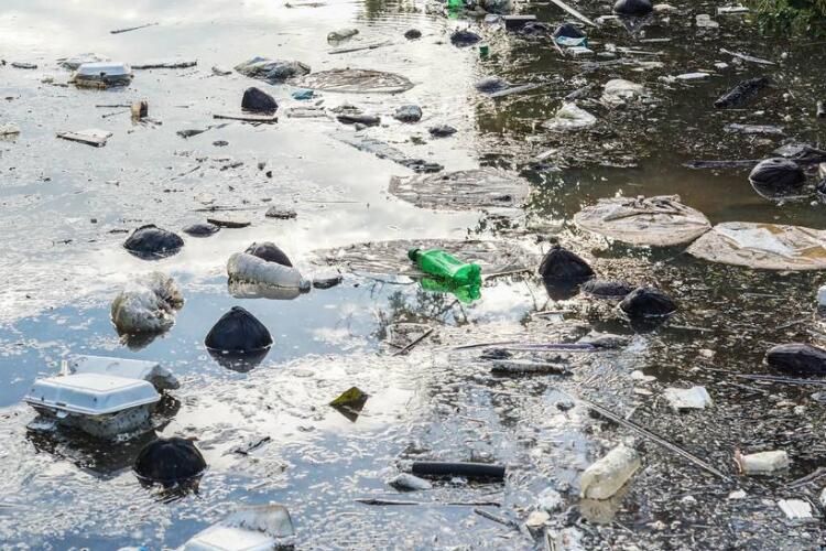 污水環(huán)境污染 污水環(huán)境污染