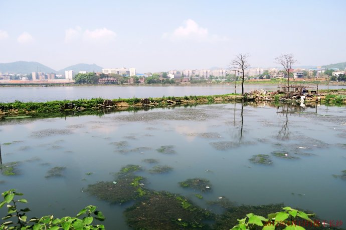 長(zhǎng)沙后湖現(xiàn)狀